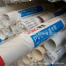 巴西一残疾小狗冲进斗牛场对峙公牛 牛被追得团团转落荒而逃