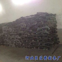 排球官网