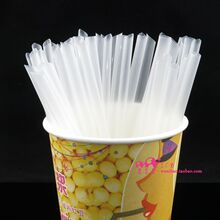 剪指甲工作量大增！美国一小猫凭29个脚趾打破世界纪录