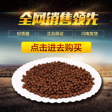 2500辆！特斯拉拿下美国史上最大电动重卡订单 现有车队直接翻倍