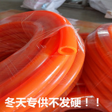 长时间刷短视频会变“笨”吗 新研究：影响专注力与自控力