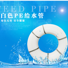 马拉松健将级运动员标准