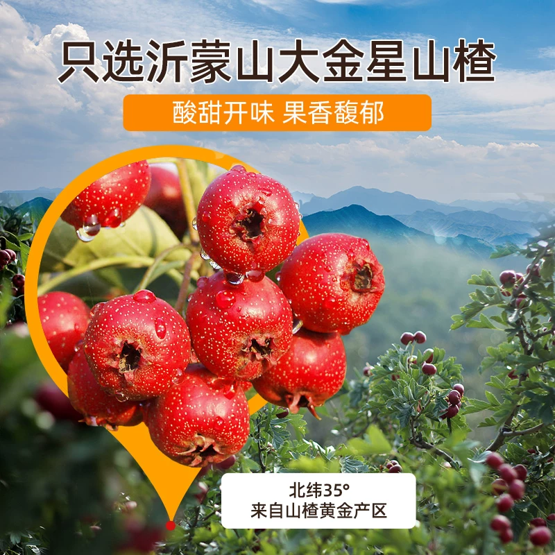 博主回应Tim称掰坏iPhone Duo：大概率是壁纸bug 并非硬件损坏