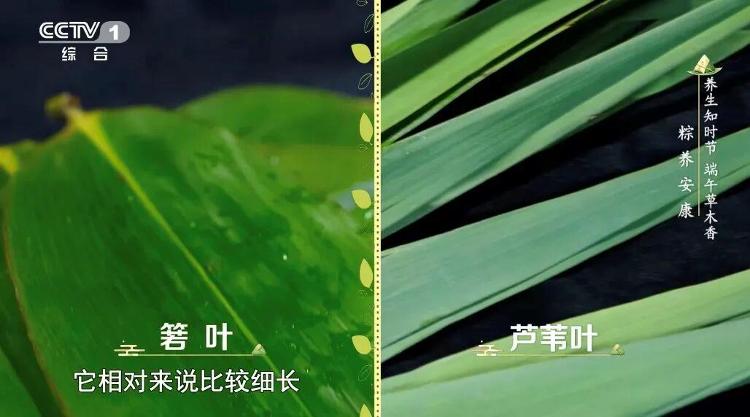 R星下一作是《荒野大镖客3》？怕不是又要等10年