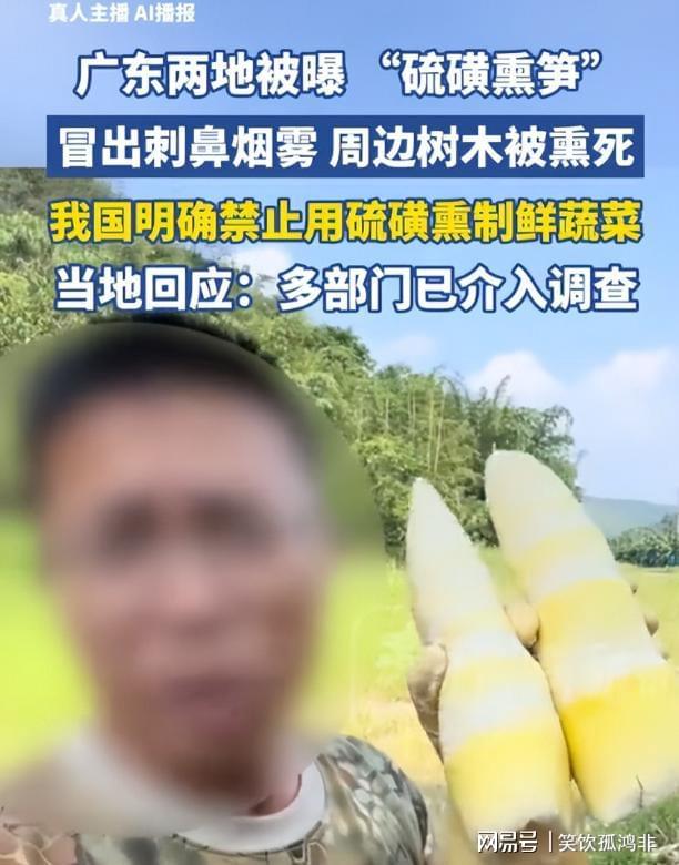 蓝厂最强折叠屏！vivo X Fold 6图赏