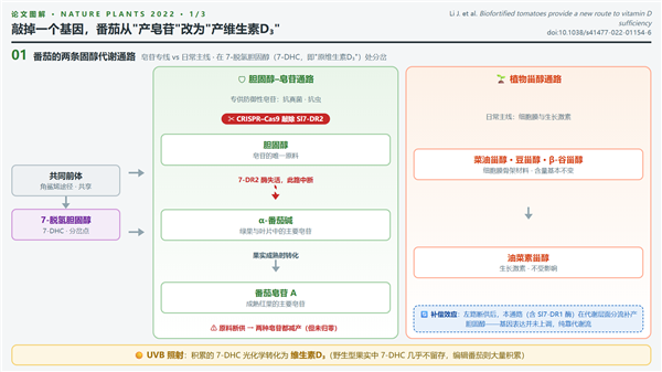 星宇车灯处罚决定又生变 被扒出未设人力资源总监相关岗位